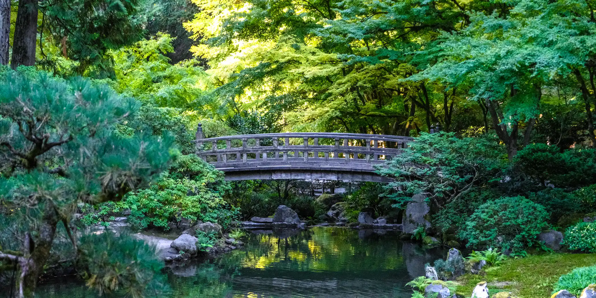 An arched bridge over a pond of water with greenery all around