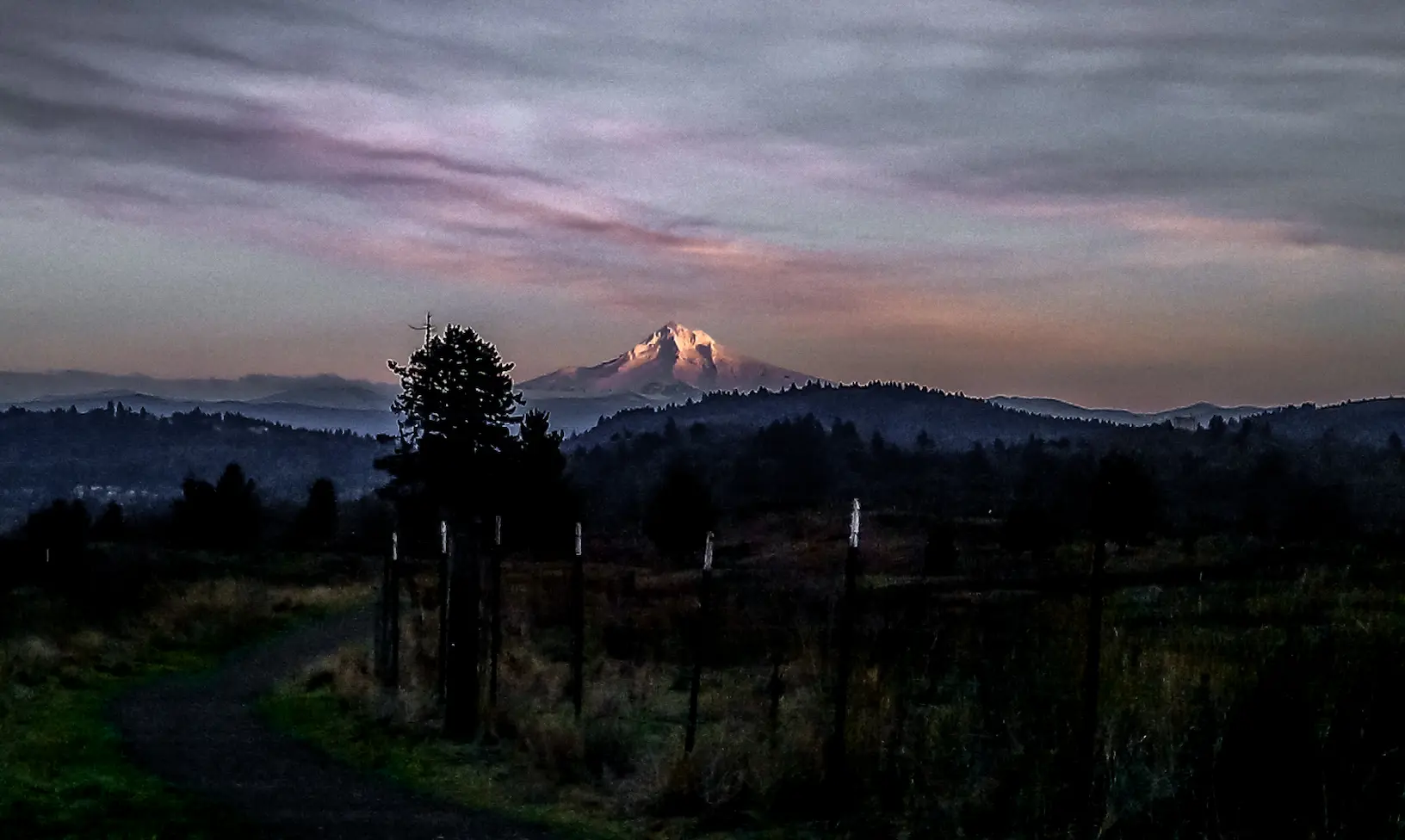 A view of the mountain, Mt. Hood from a park in Portland, Oregon at sunset with purple skies